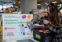 Пятёрочка» увеличила на 25% объём помощи бездомным животным