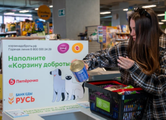 Пятёрочка» увеличила на 25% объём помощи бездомным животным