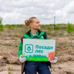 Осенью в России высадят около 500 тысяч деревьев: присоединиться к восстановлению лесов может каждый