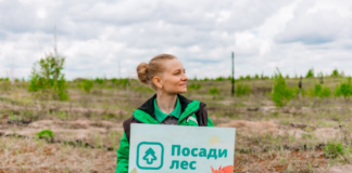 Осенью в России высадят около 500 тысяч деревьев: присоединиться к восстановлению лесов может каждый